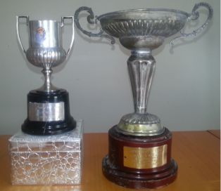 Los trofeos de campeón y subcampeón de Copa del Rey de Pérez García. Foto del propio jugador, gentileza de Javier Vázquez